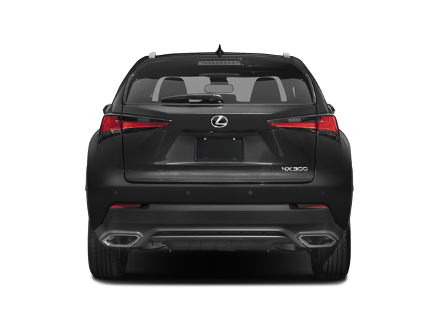 2018 Lexus NX 300 
